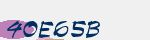 Security Code